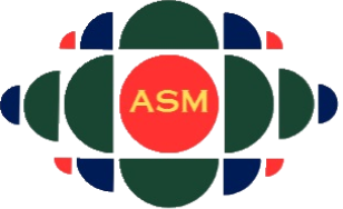 Allied Strategy Marketing (ASM)